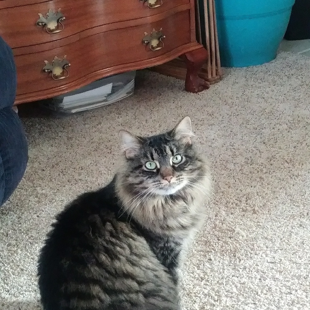 Meet your Posher, Mary jo